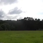 El Entamau Argüero